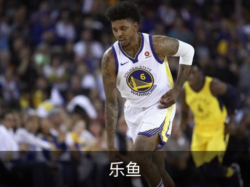 乐鱼介绍